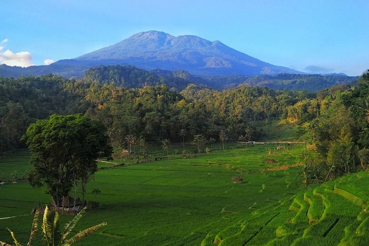 DESA SINDANGSUKA
